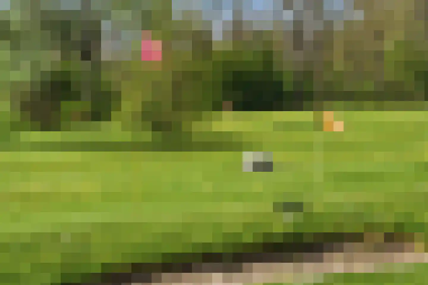 Havendam 13 b Rhoon thumbnail 72