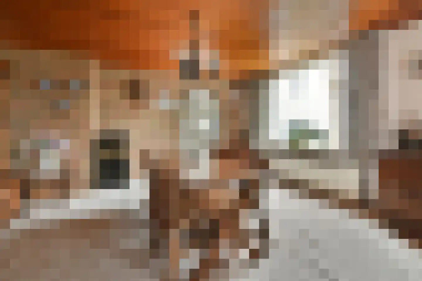 Havendam 2 Rhoon thumbnail 14