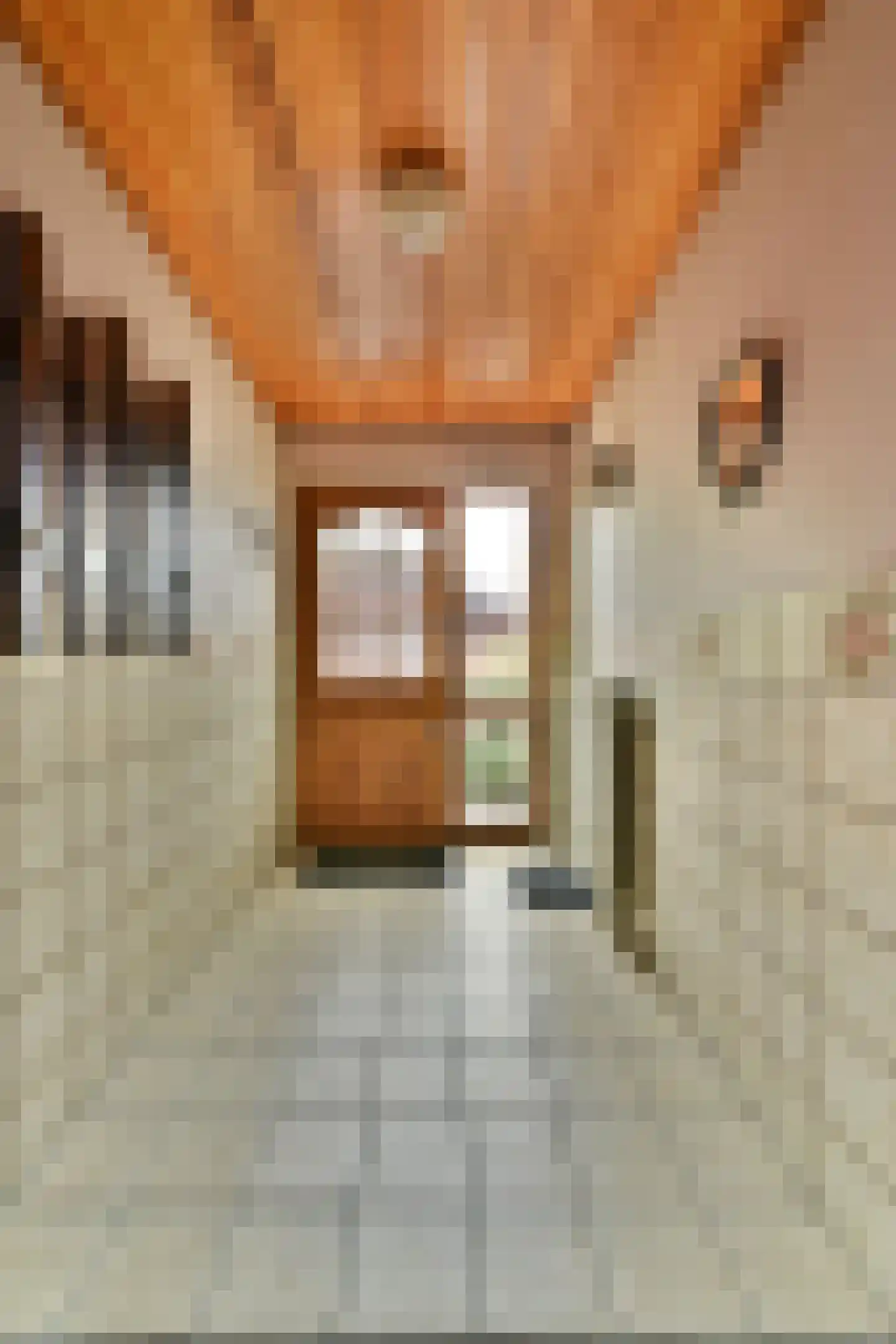Havendam 2 Rhoon thumbnail 16