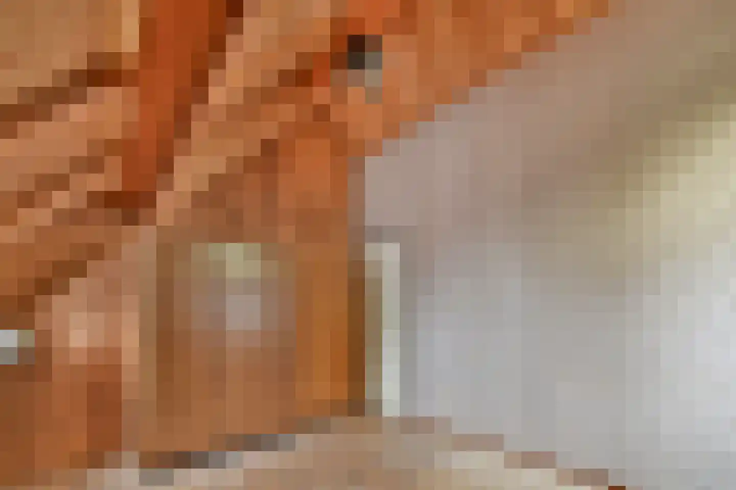 Havendam 2 Rhoon thumbnail 23