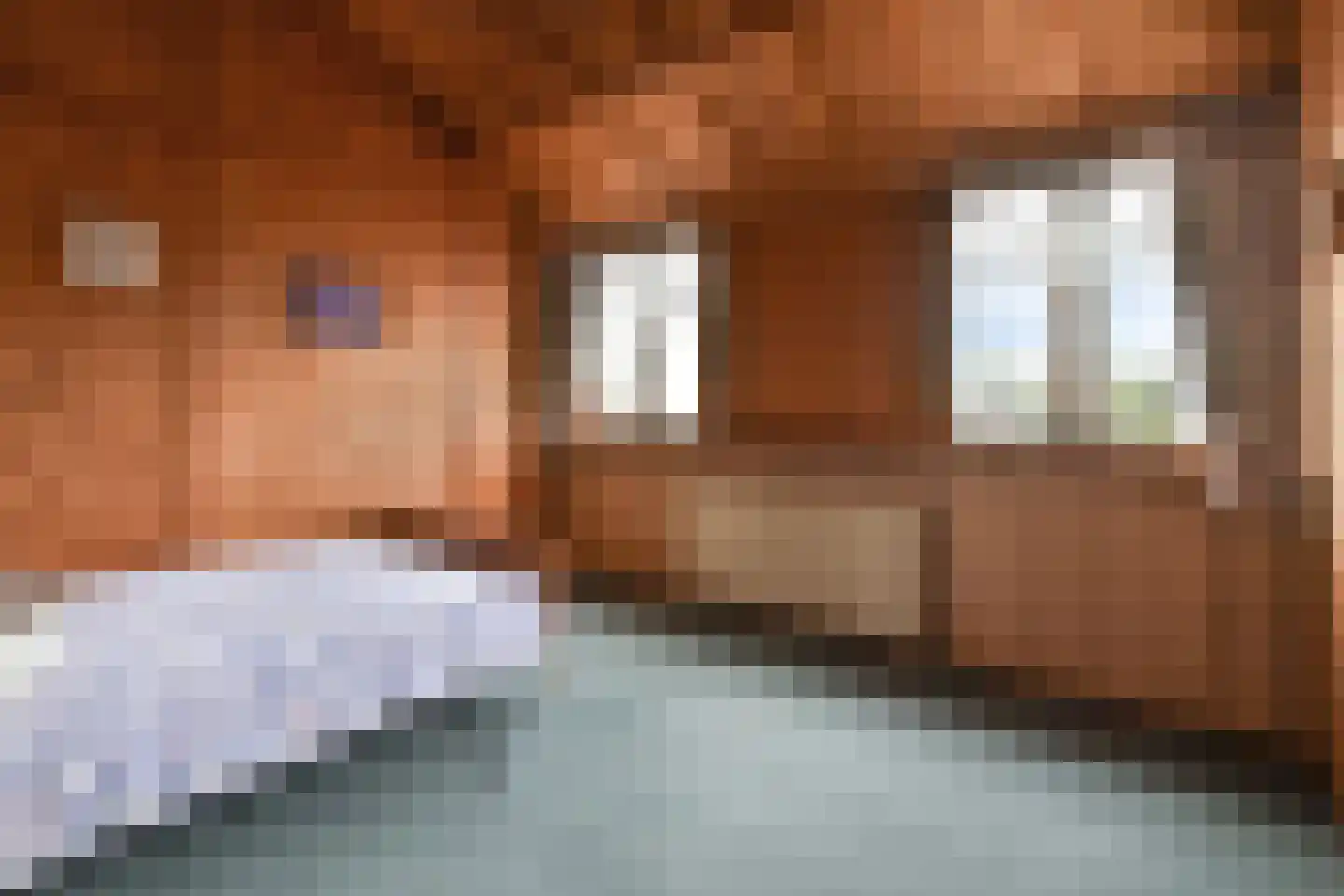 Havendam 2 Rhoon thumbnail 27