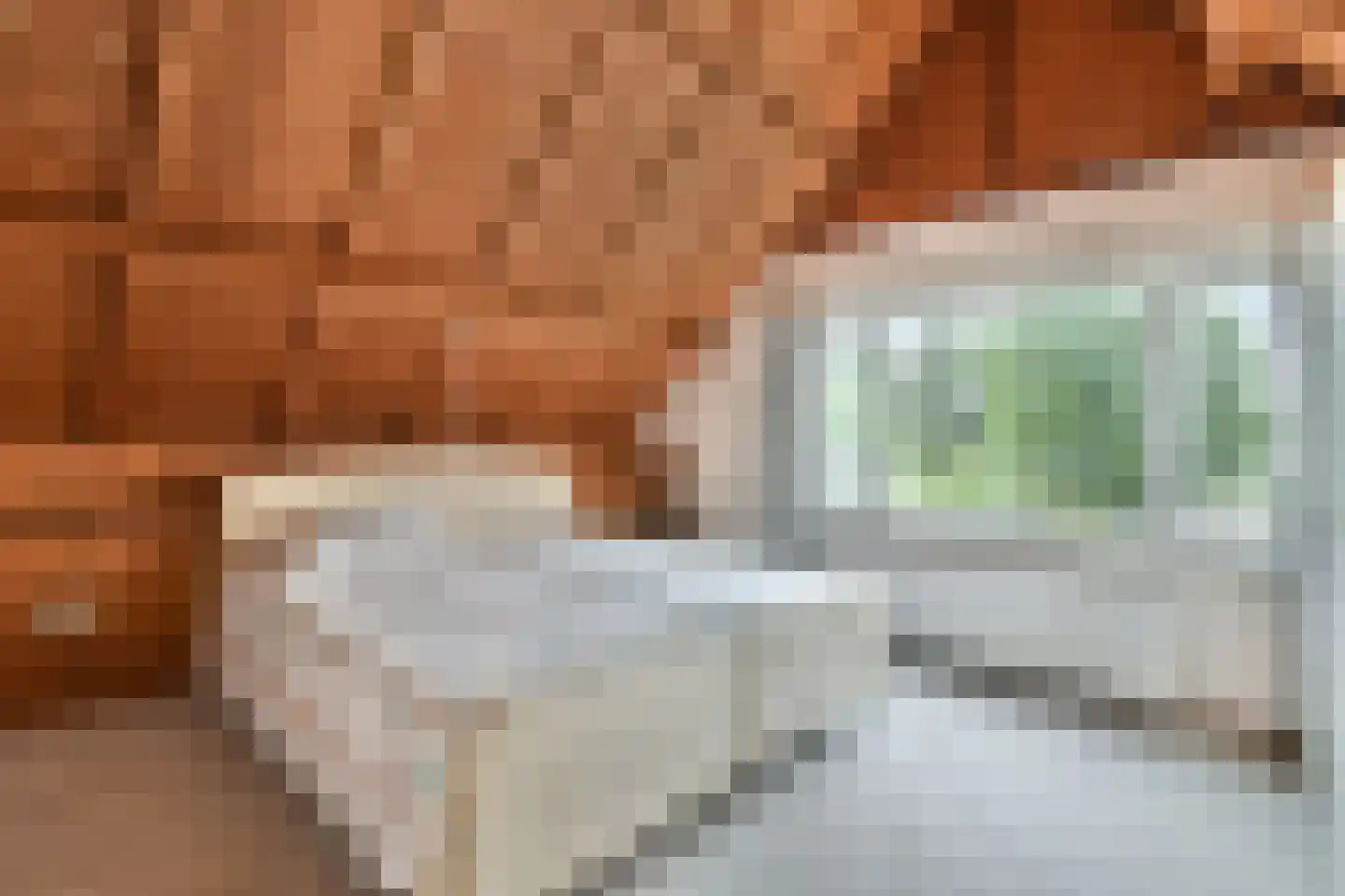 Havendam 2 Rhoon thumbnail 6