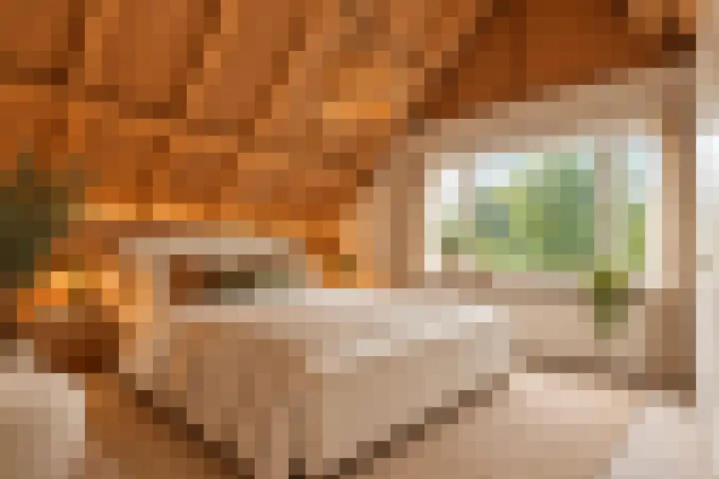 Havendam 2 Rhoon thumbnail 7