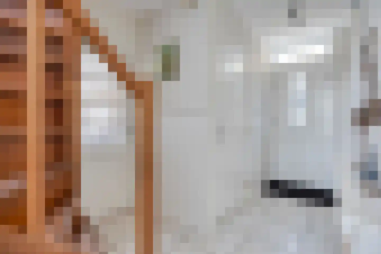 Havendam 9 a Rhoon thumbnail 26
