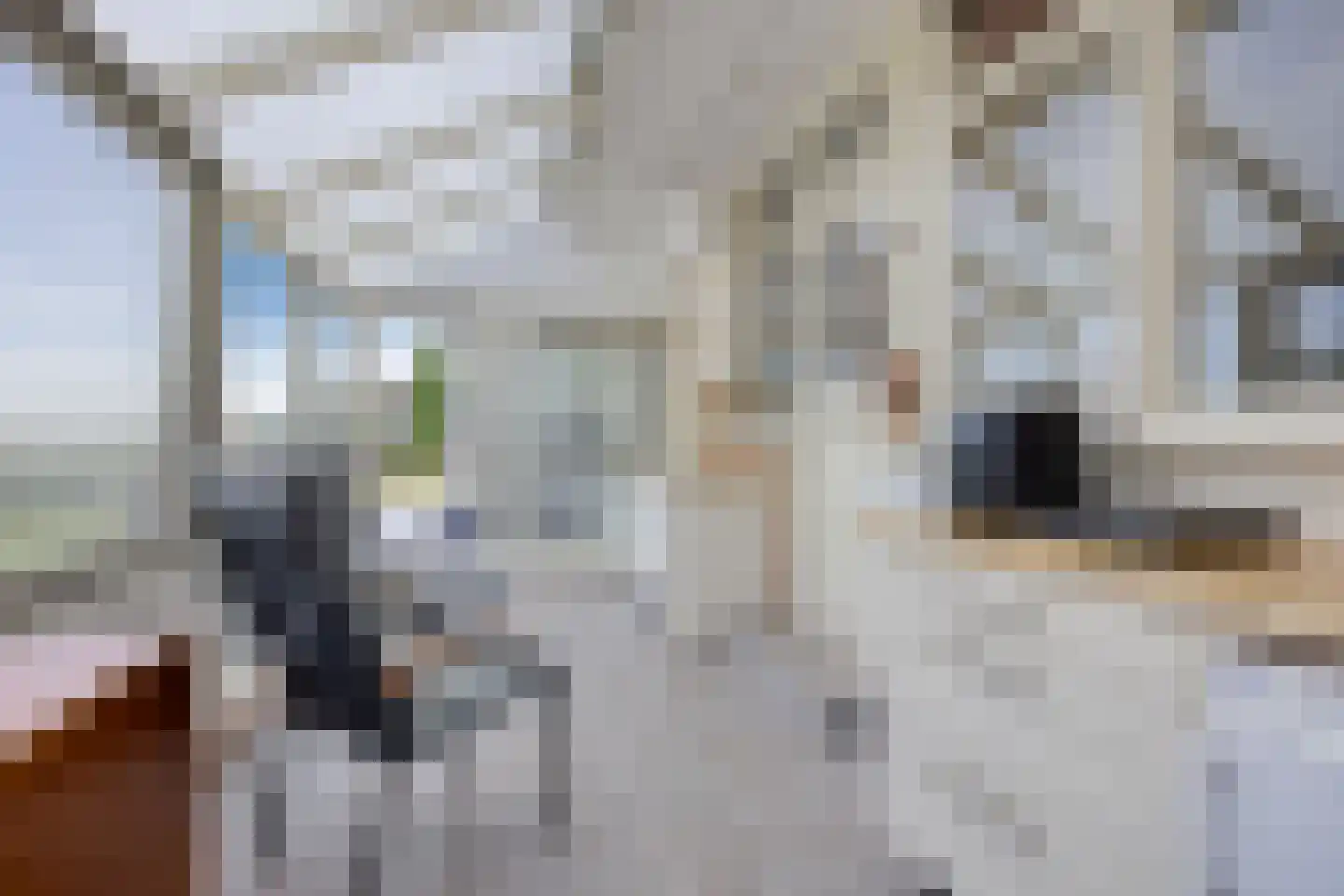 Havendam 9 a Rhoon thumbnail 40