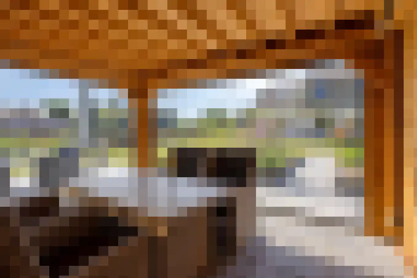 Havendam 9 a Rhoon thumbnail 5