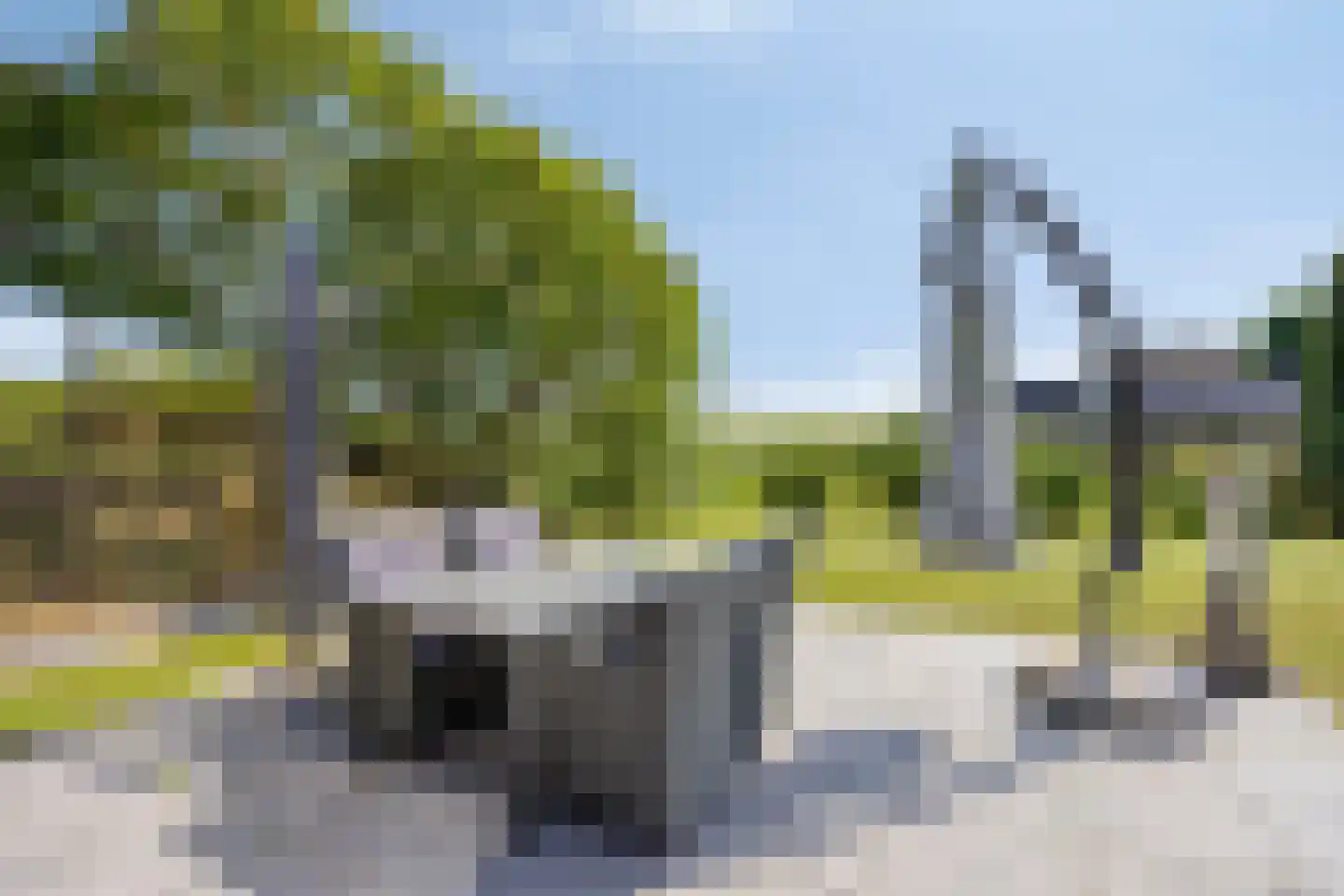 Havendam 9 a Rhoon thumbnail 7