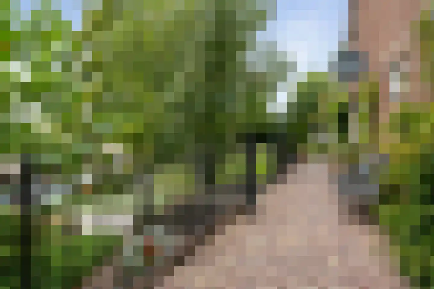 Havendijk 1 Oudenbosch thumbnail 32