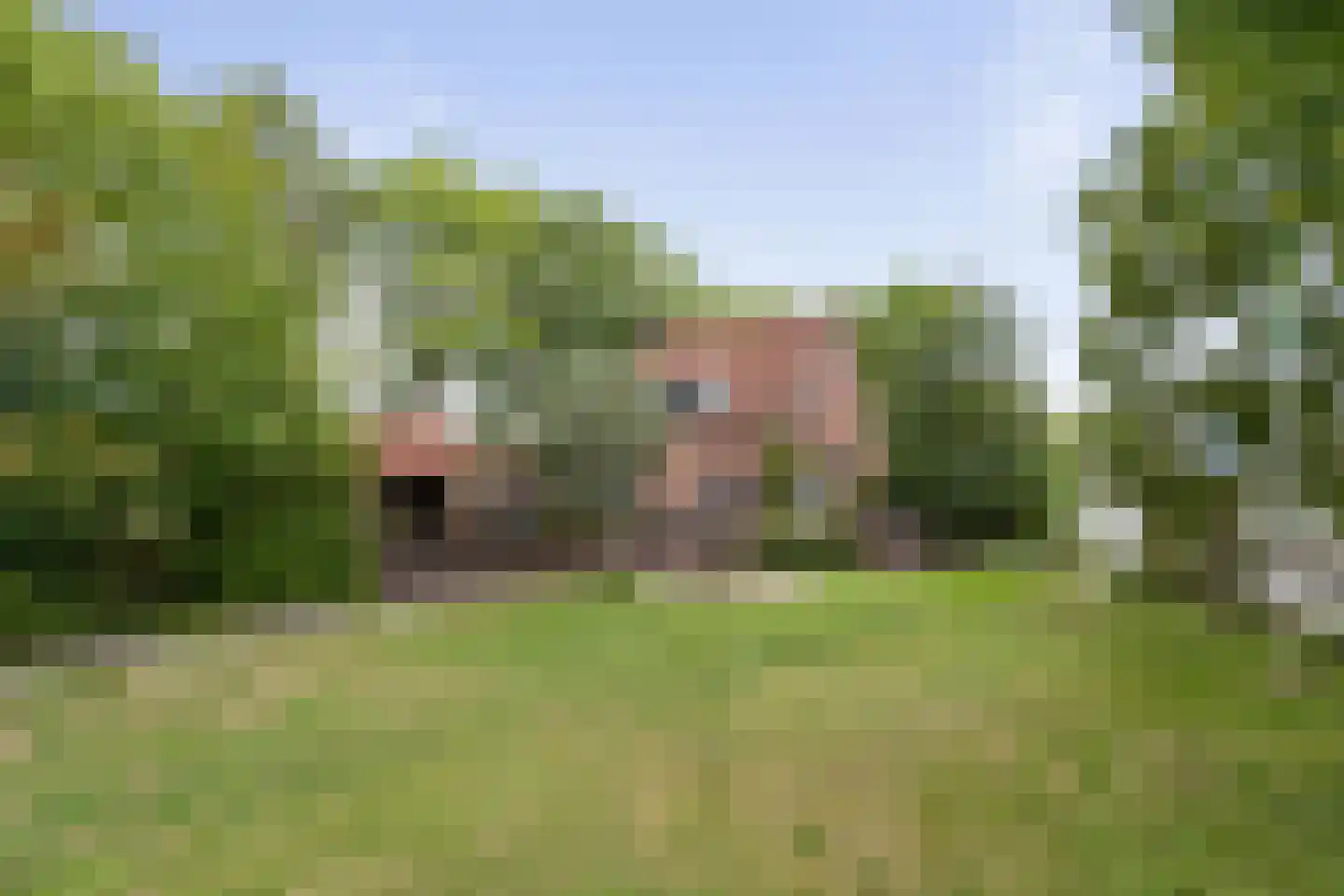 Havendijk 1 Oudenbosch thumbnail 38