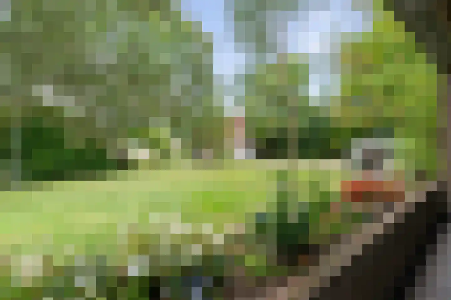 Havendijk 1 Oudenbosch thumbnail 47