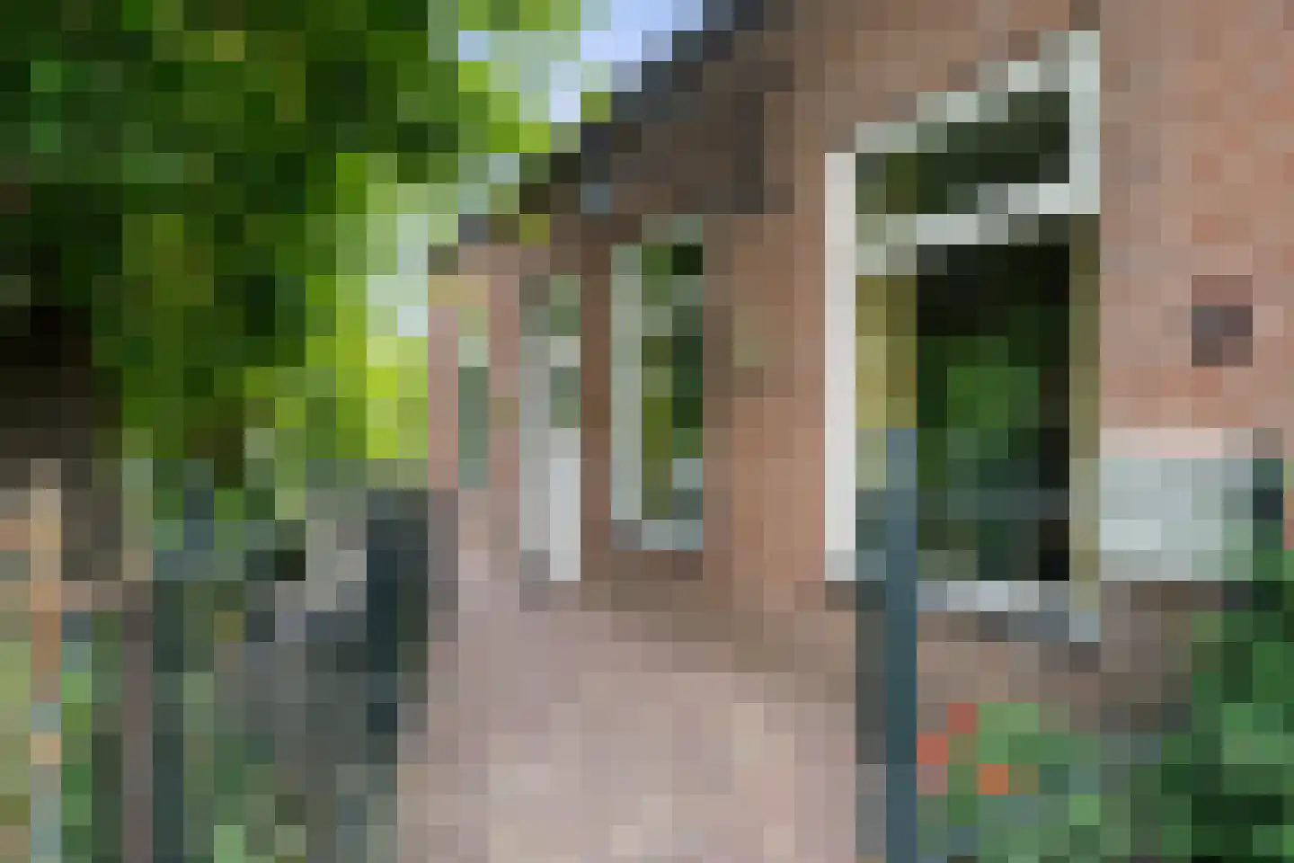 Havendijk 1 Oudenbosch thumbnail 5