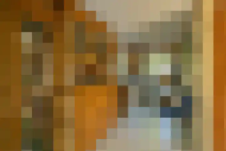 Havendijk 10 1 Ooltgensplaat thumbnail 11