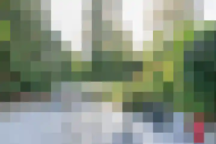 Havendijk 10 1 Ooltgensplaat thumbnail 16