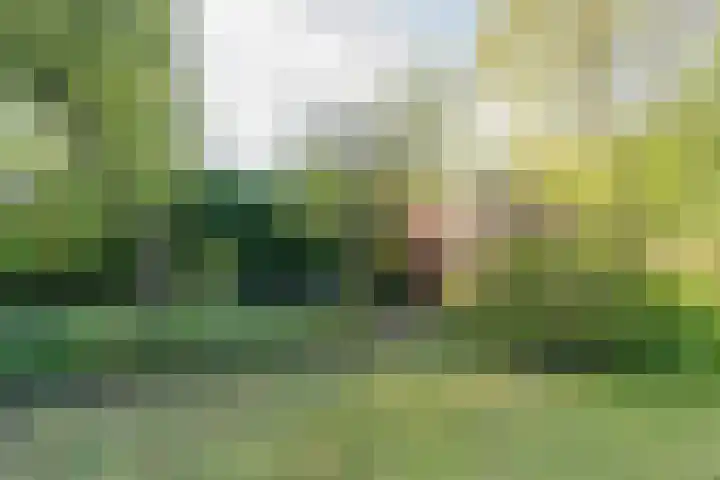 Havendijk 10 1 Ooltgensplaat thumbnail 17