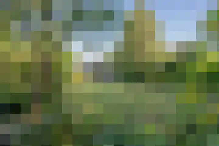 Havendijk 10 1 Ooltgensplaat thumbnail 18