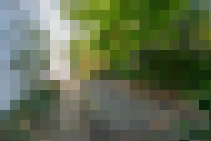 Havendijk 10 1 Ooltgensplaat thumbnail 19