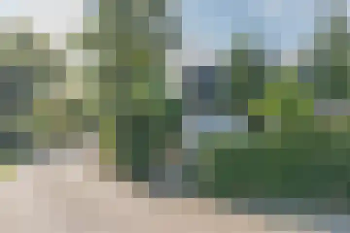 Havendijk 10 1 Ooltgensplaat thumbnail 20