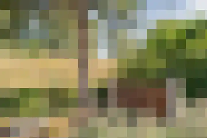 Havendijk 10 1 Ooltgensplaat thumbnail 21