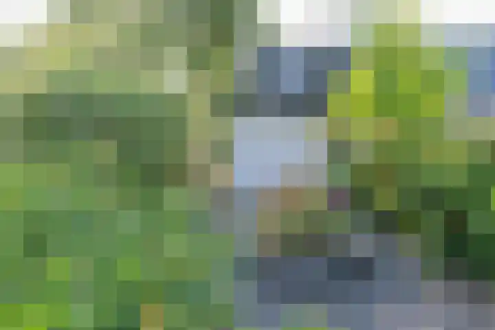 Havendijk 10 1 Ooltgensplaat thumbnail 4