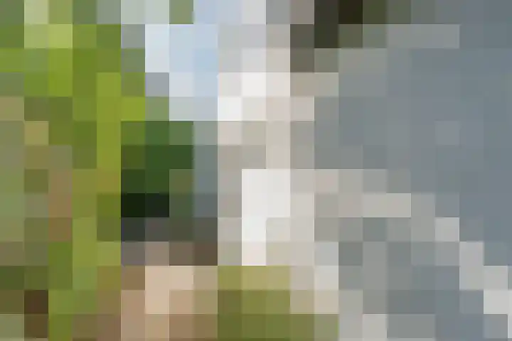 Havendijk 10 1 Ooltgensplaat thumbnail 6