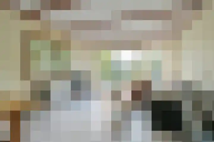 Havendijk 10 1 Ooltgensplaat thumbnail 7