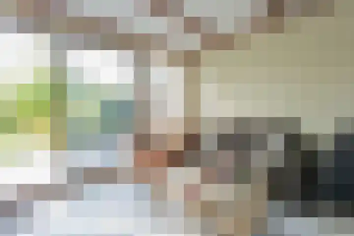 Havendijk 10 1 Ooltgensplaat thumbnail 8