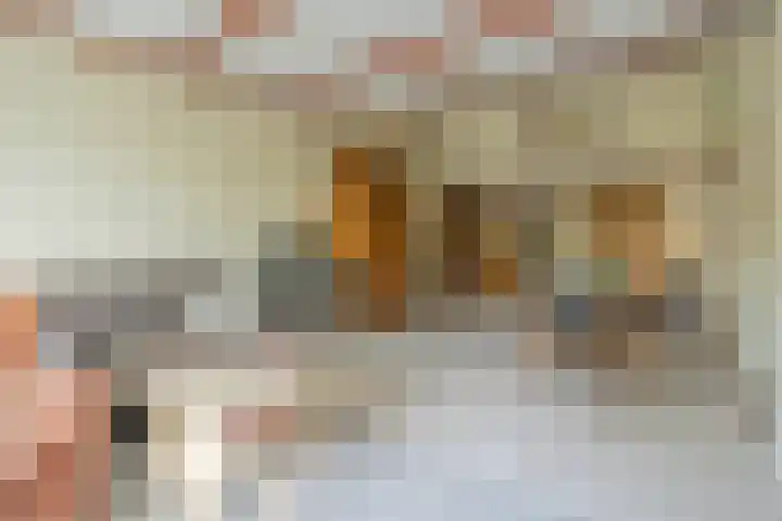 Havendijk 10 1 Ooltgensplaat thumbnail 9