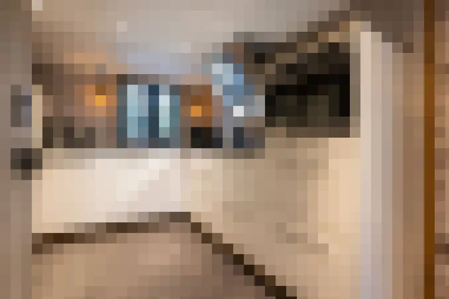 Havendijk 10 10 Ooltgensplaat thumbnail 11