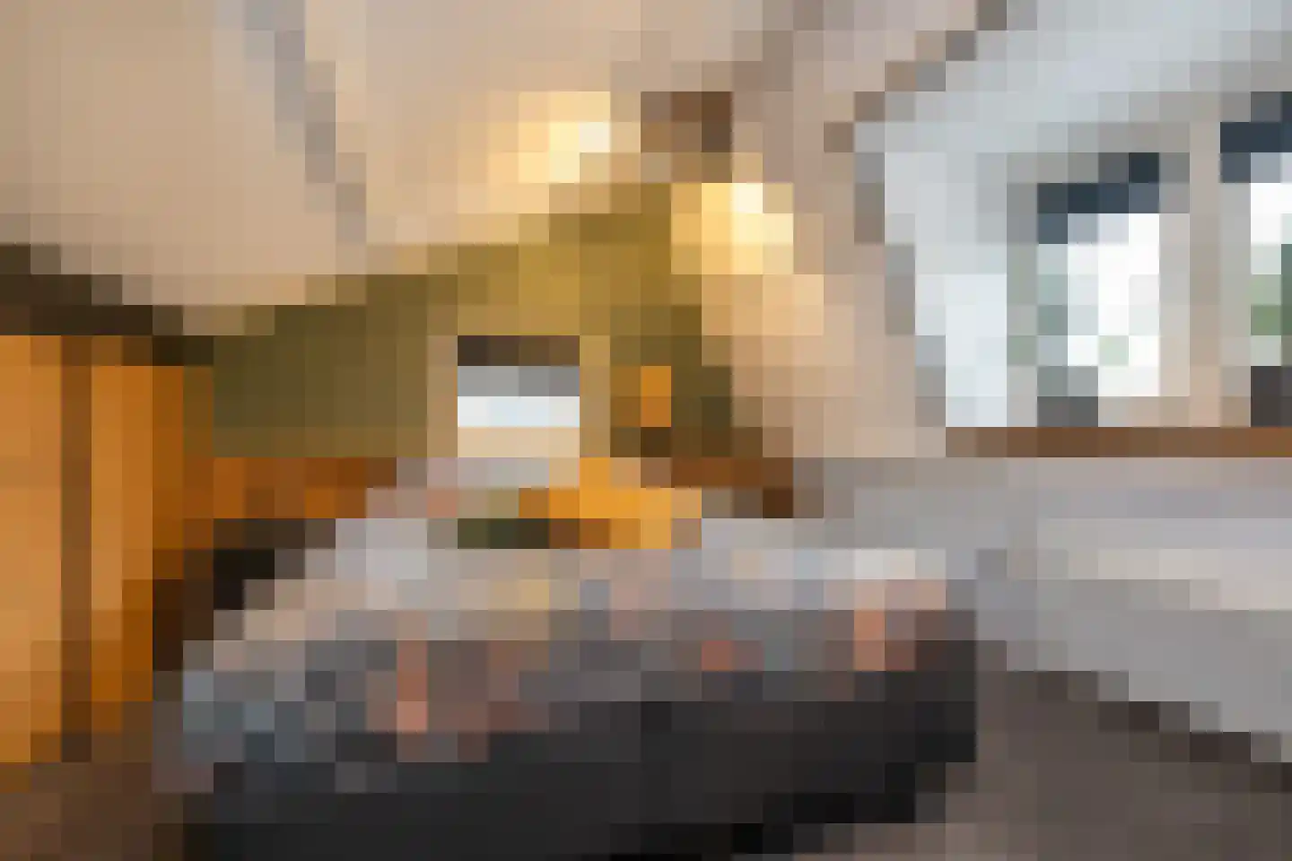Havendijk 10 10 Ooltgensplaat thumbnail 16