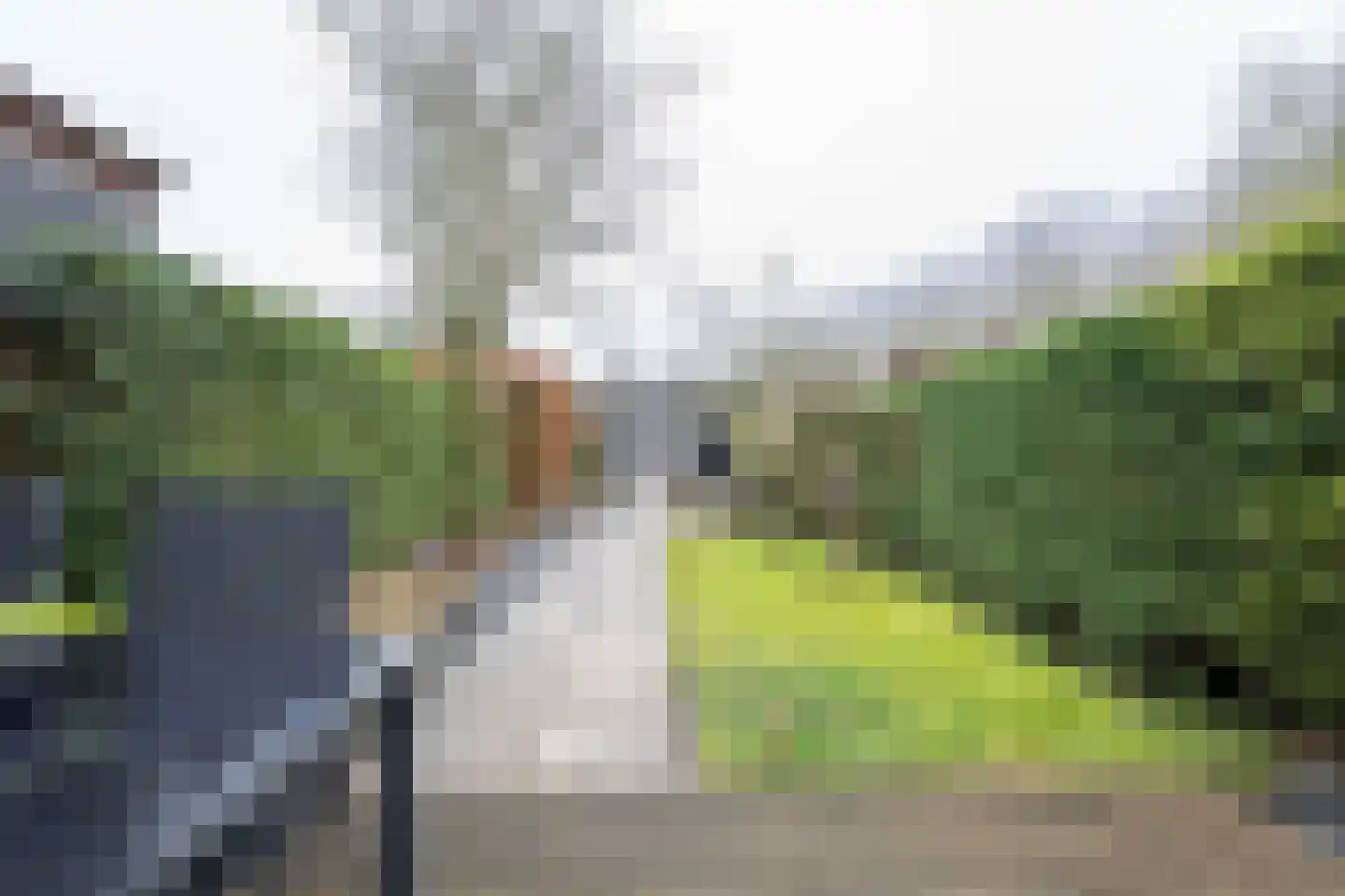 Havendijk 10 10 Ooltgensplaat thumbnail 20