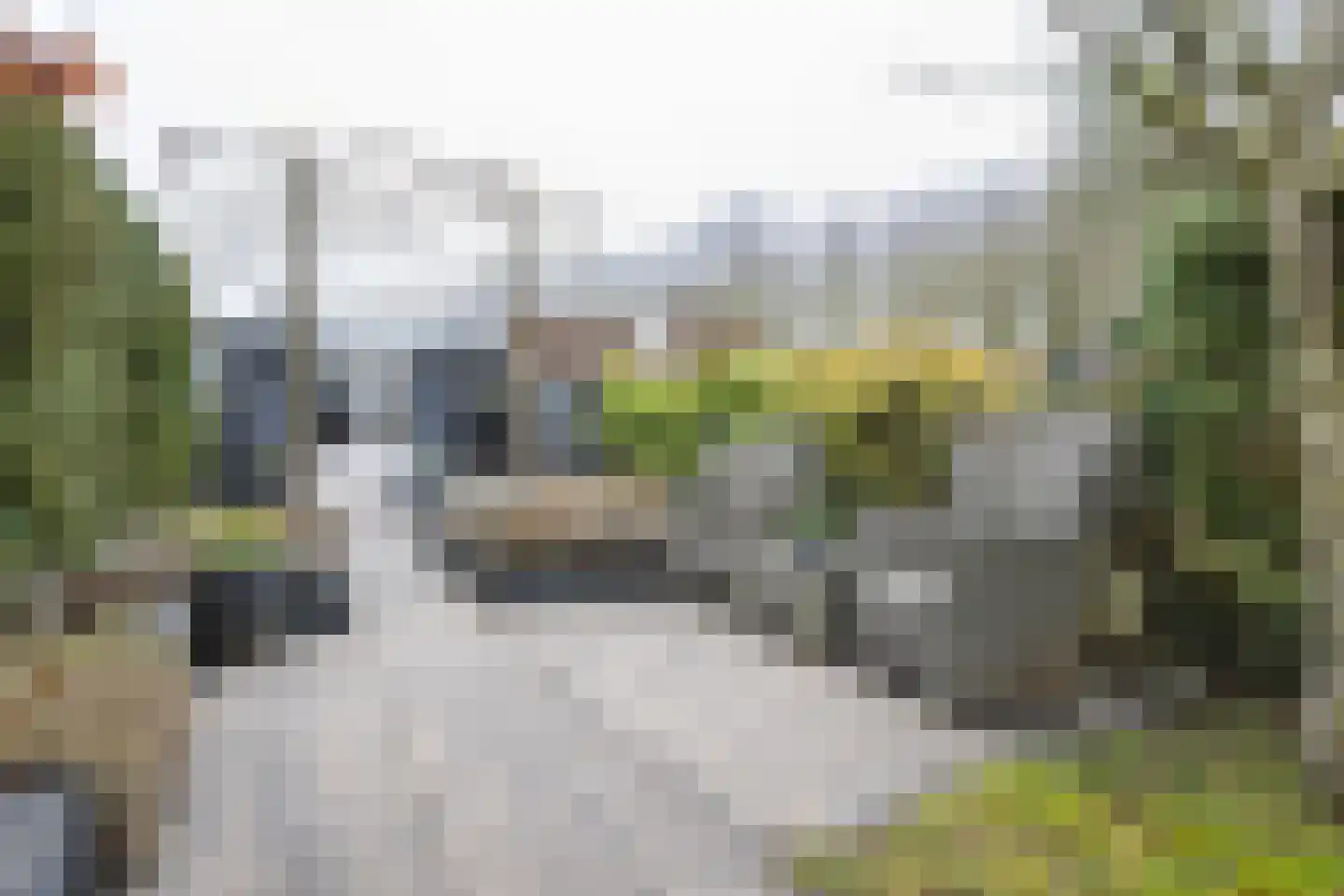 Havendijk 10 10 Ooltgensplaat thumbnail 22