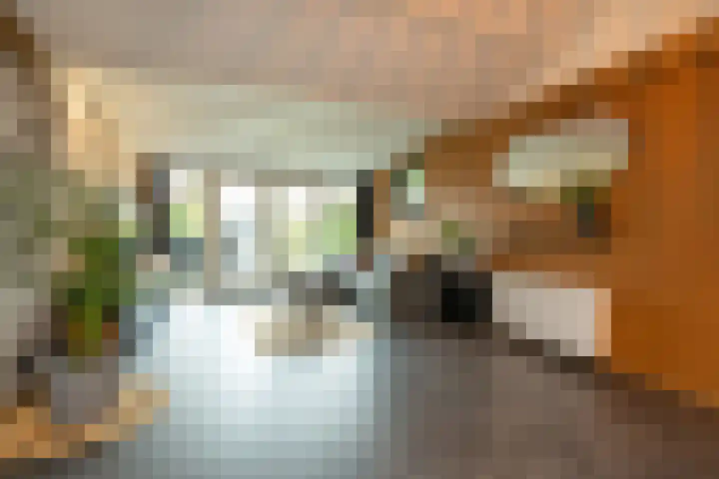 Havendijk 10 10 Ooltgensplaat thumbnail 7