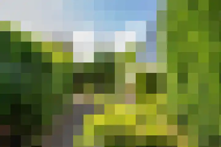 Havendijk 10 13 Ooltgensplaat thumbnail 19