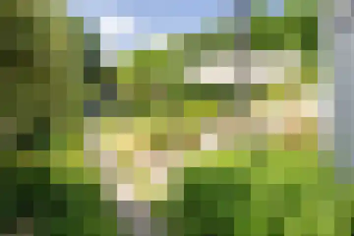 Havendijk 10 13 Ooltgensplaat thumbnail 22