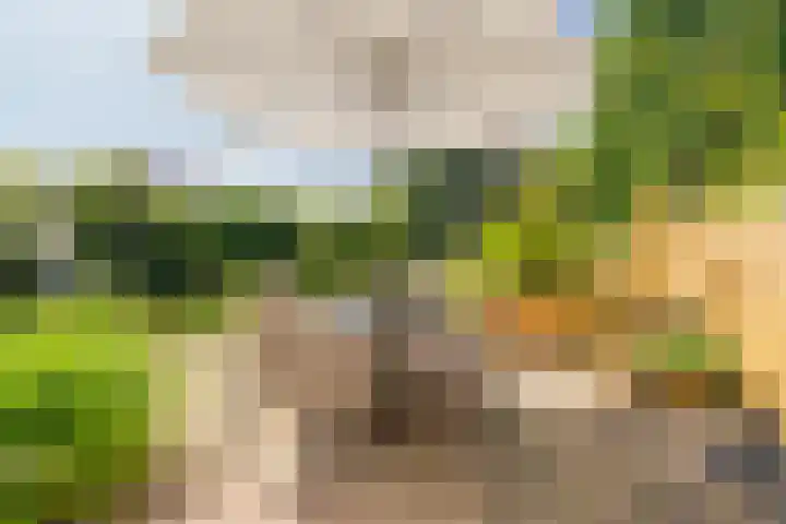Havendijk 10 13 Ooltgensplaat thumbnail 23