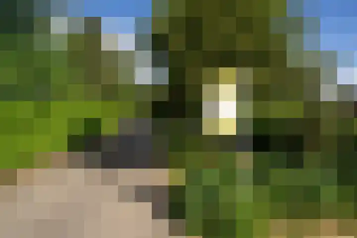 Havendijk 10 13 Ooltgensplaat thumbnail 26