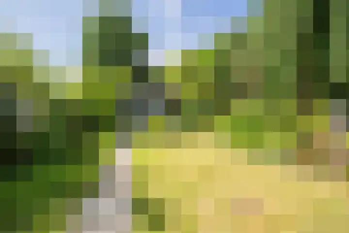 Havendijk 10 13 Ooltgensplaat thumbnail 5