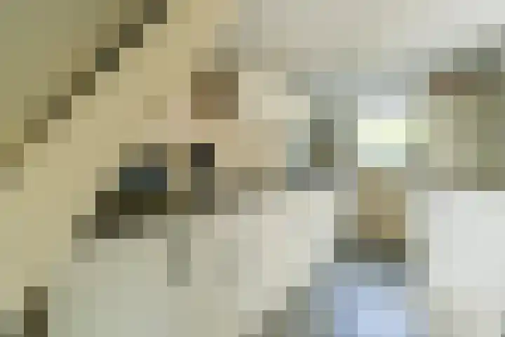 Havendijk 10 13 Ooltgensplaat thumbnail 8