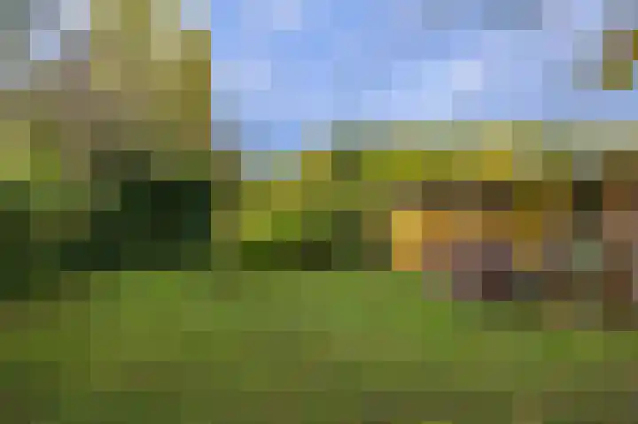 Havendijk 10 56 Ooltgensplaat thumbnail 6