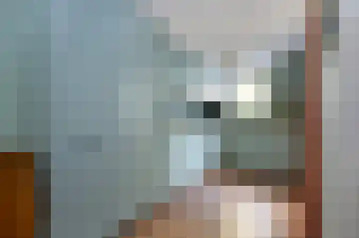 Havendijk 10 56 Ooltgensplaat thumbnail 9