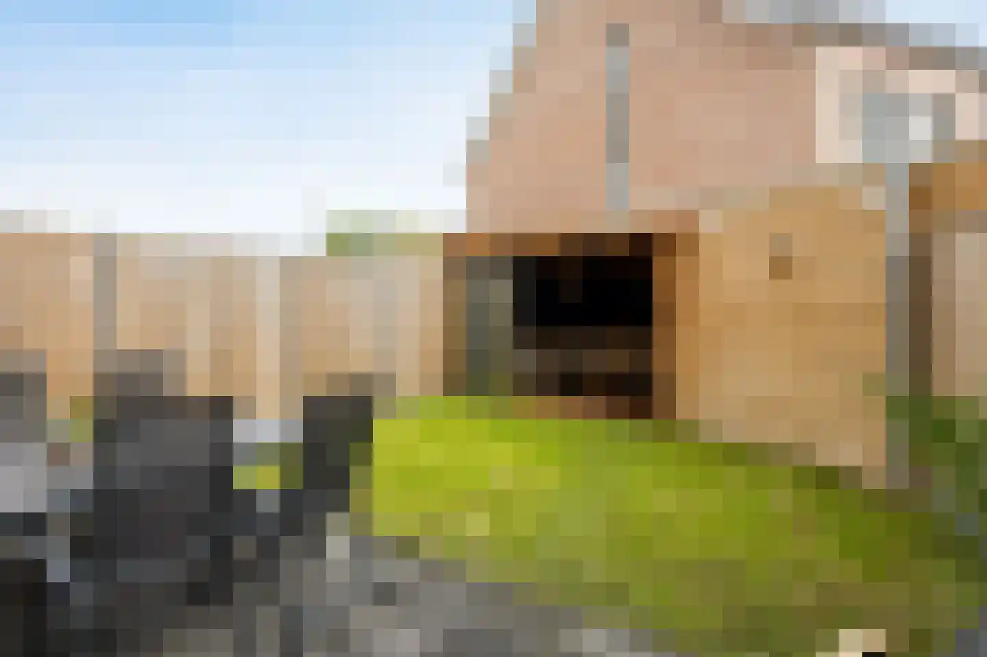 Havendijk 10 a 3 Oudenbosch thumbnail 34