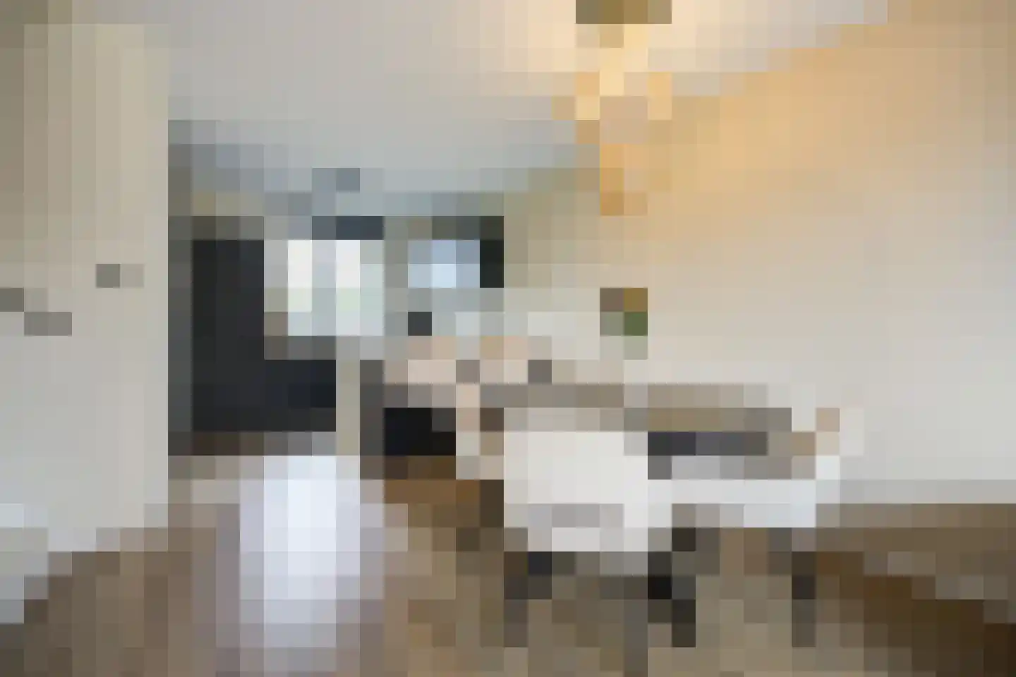 Havendijk 10 a 3 Oudenbosch thumbnail 9