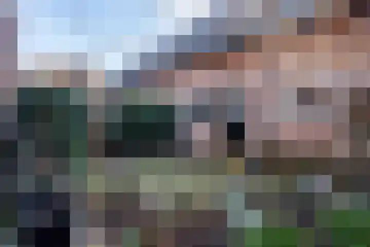 Havendijk 11 Beesd thumbnail 24