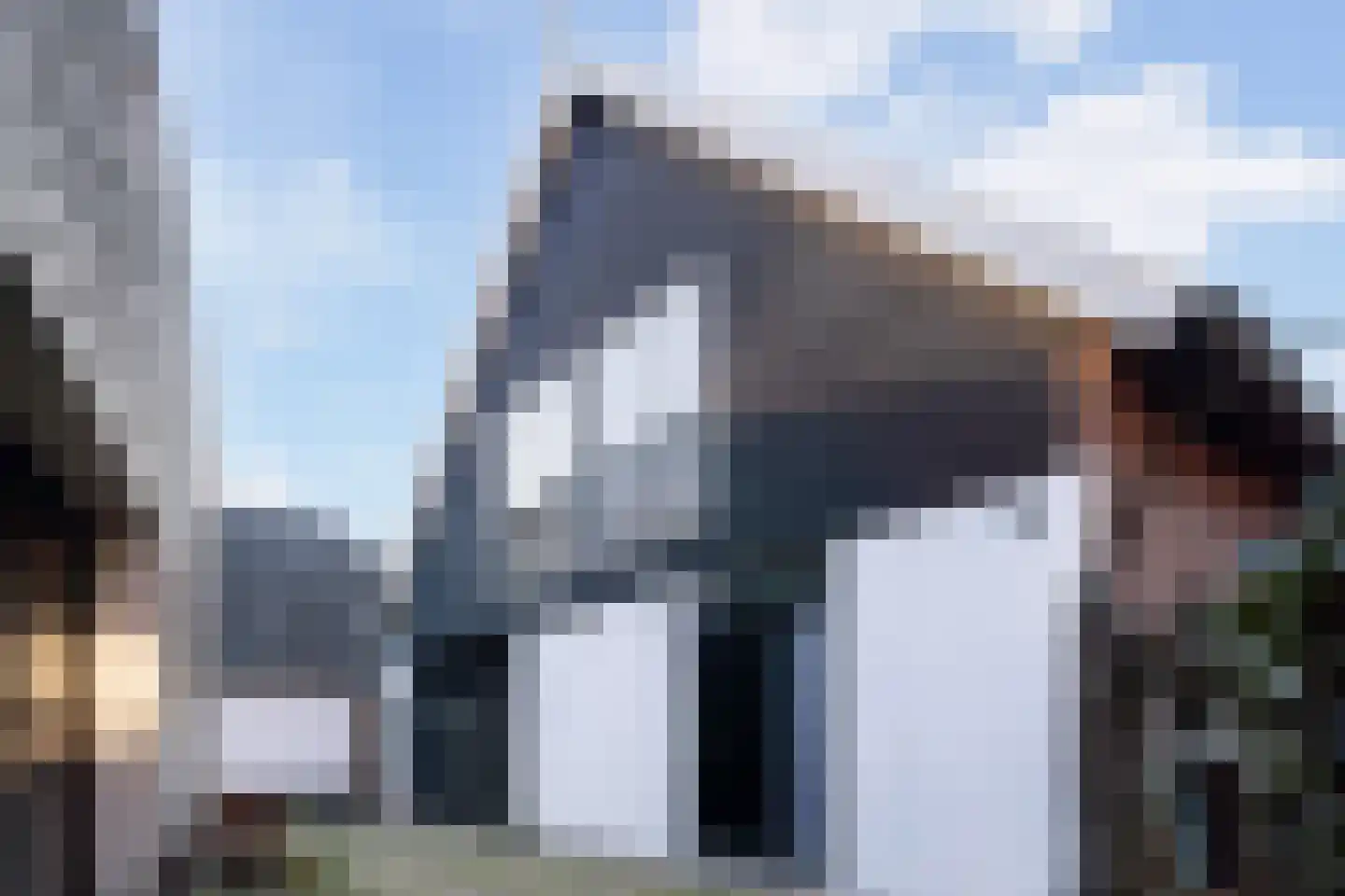 Havendijk 11 Beesd thumbnail 5