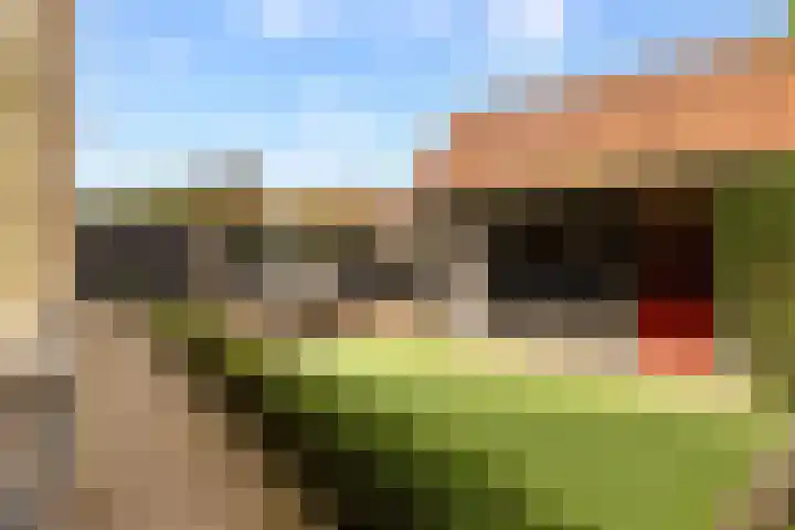 Havendijk 11 Waspik thumbnail 27