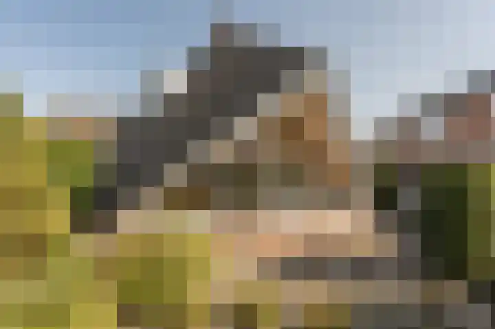 Havendijk 11 Waspik thumbnail 30