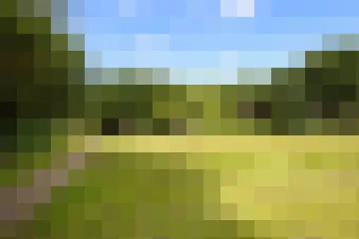 Havendijk 11 Waspik thumbnail 42