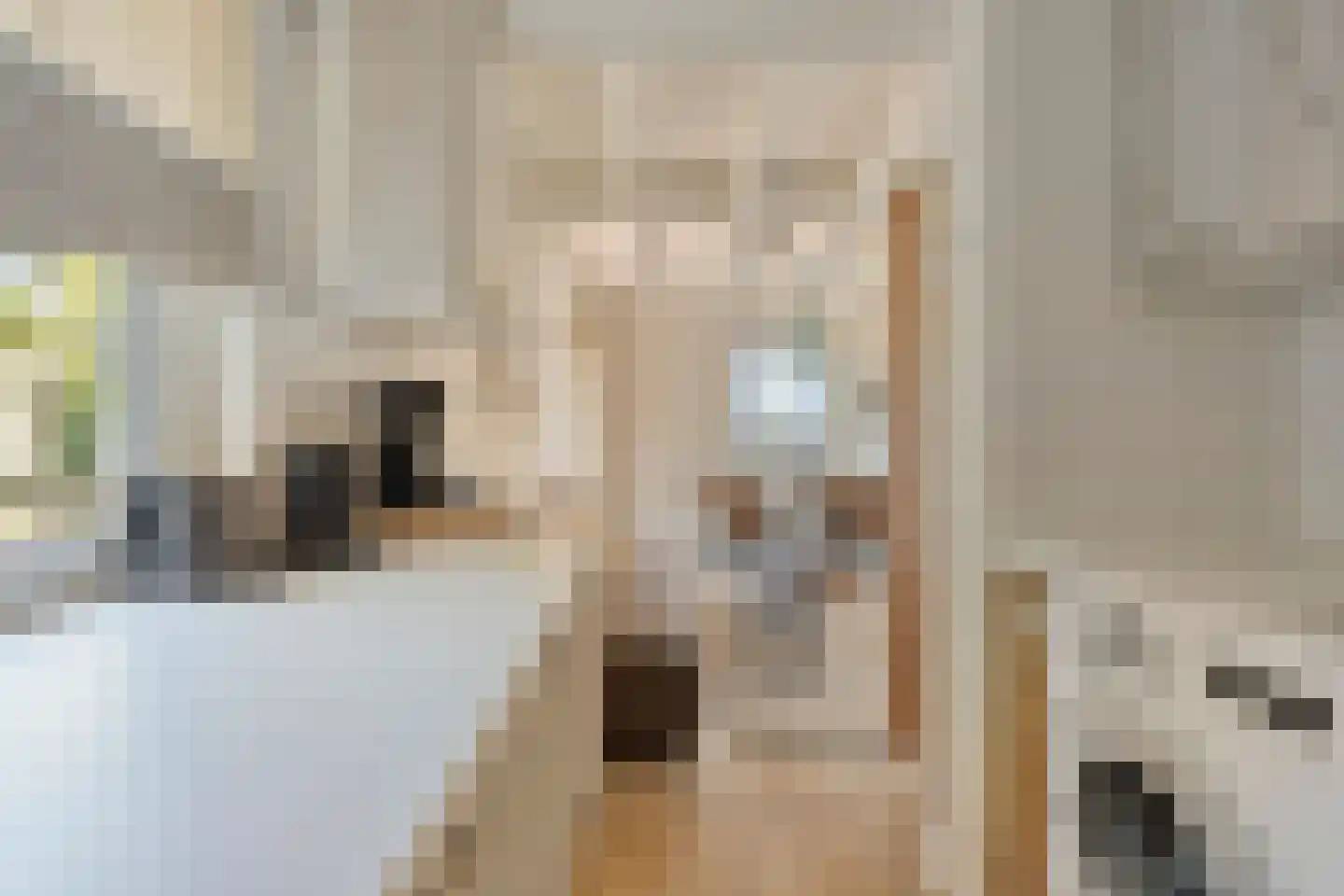 Havendijk 12 11 Ooltgensplaat thumbnail 8