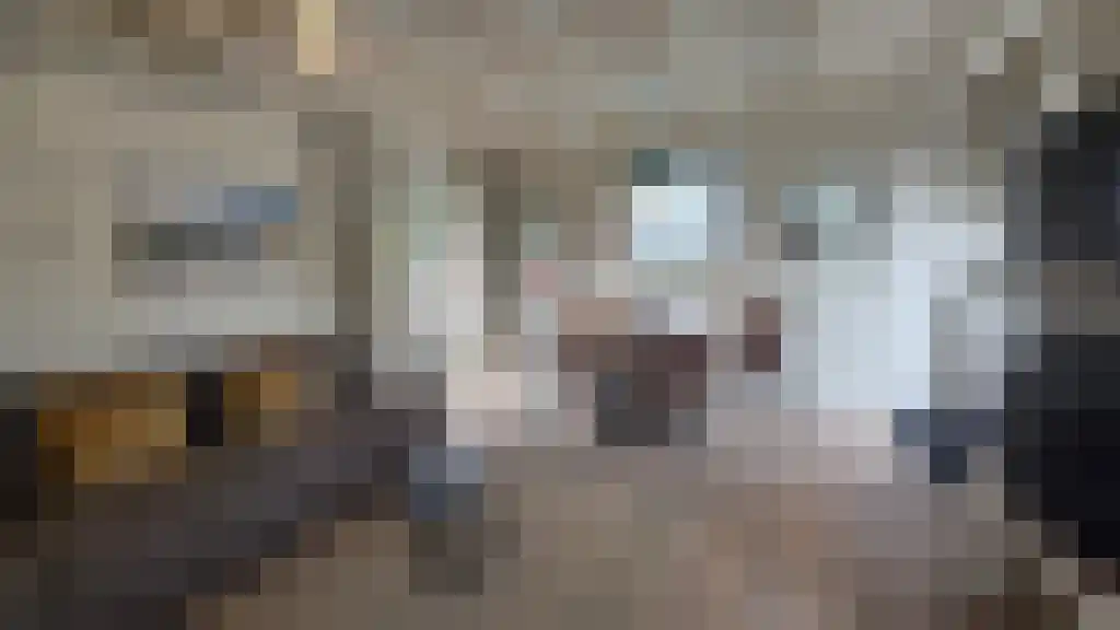 Havendijk 12 Ooltgensplaat thumbnail 5