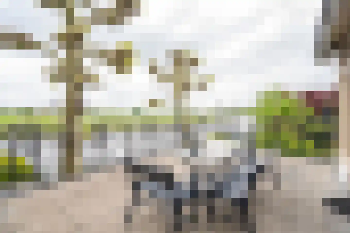 Havendijk 16 Beesd thumbnail 46